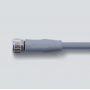 M12x1 connection cable, 5 Poles