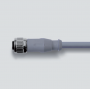 M12x1 connection cable, 4 Poles