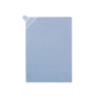 Display Protection Foil IS440 (10 Stk)