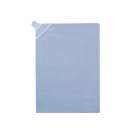 Display Protection Foil IS440 (10 Stk)